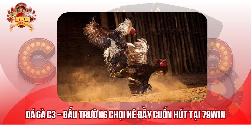 đá gà c3